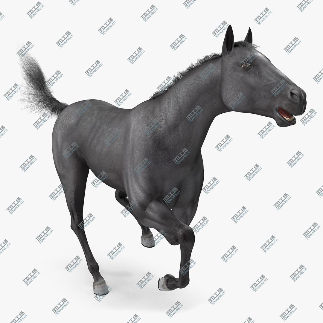 images/goods_img/20210319/Black Horse Fur Rigged model/1.jpg
